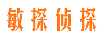 大理市侦探调查公司